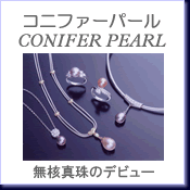 CONIFER PEARL