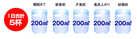 1日合計5杯